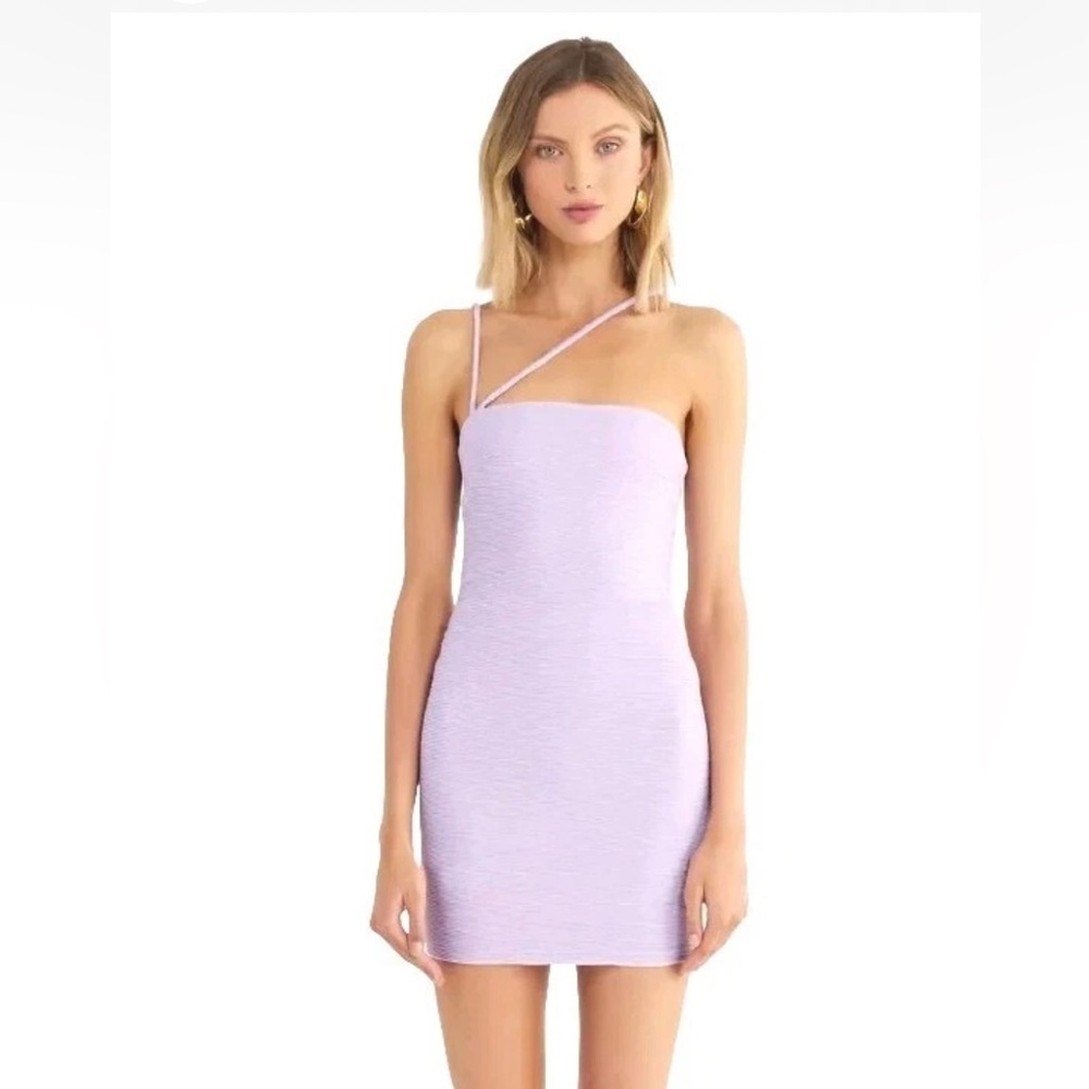NWT! Revolve X RUMER light purple bodycon Penelope Mini Dress Size small. $219